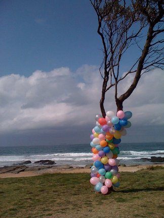 Coloured balloons around a tree trunk
