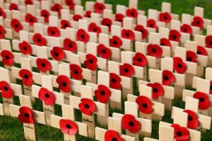 Read more about the article A Rant for Remembrance Day: Traumatic Brain Injury in Soldiers