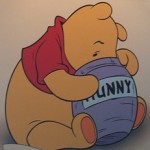 Can Winnie the Pooh teach supporters about brain injury