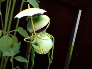 Challenging Behaviour ACORN cartoon of frog with an  umbrella in reeds all green
